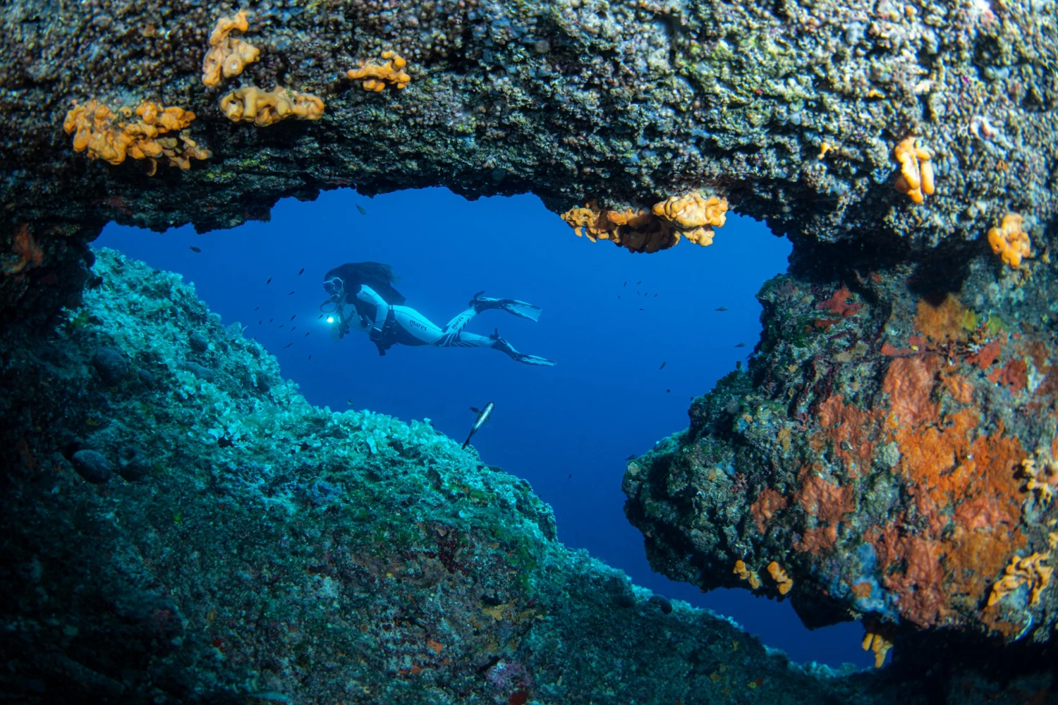 Cheap Mares Shop -Cheap Mares Shop 120525719 3667828326575192 3912043492848018121 n