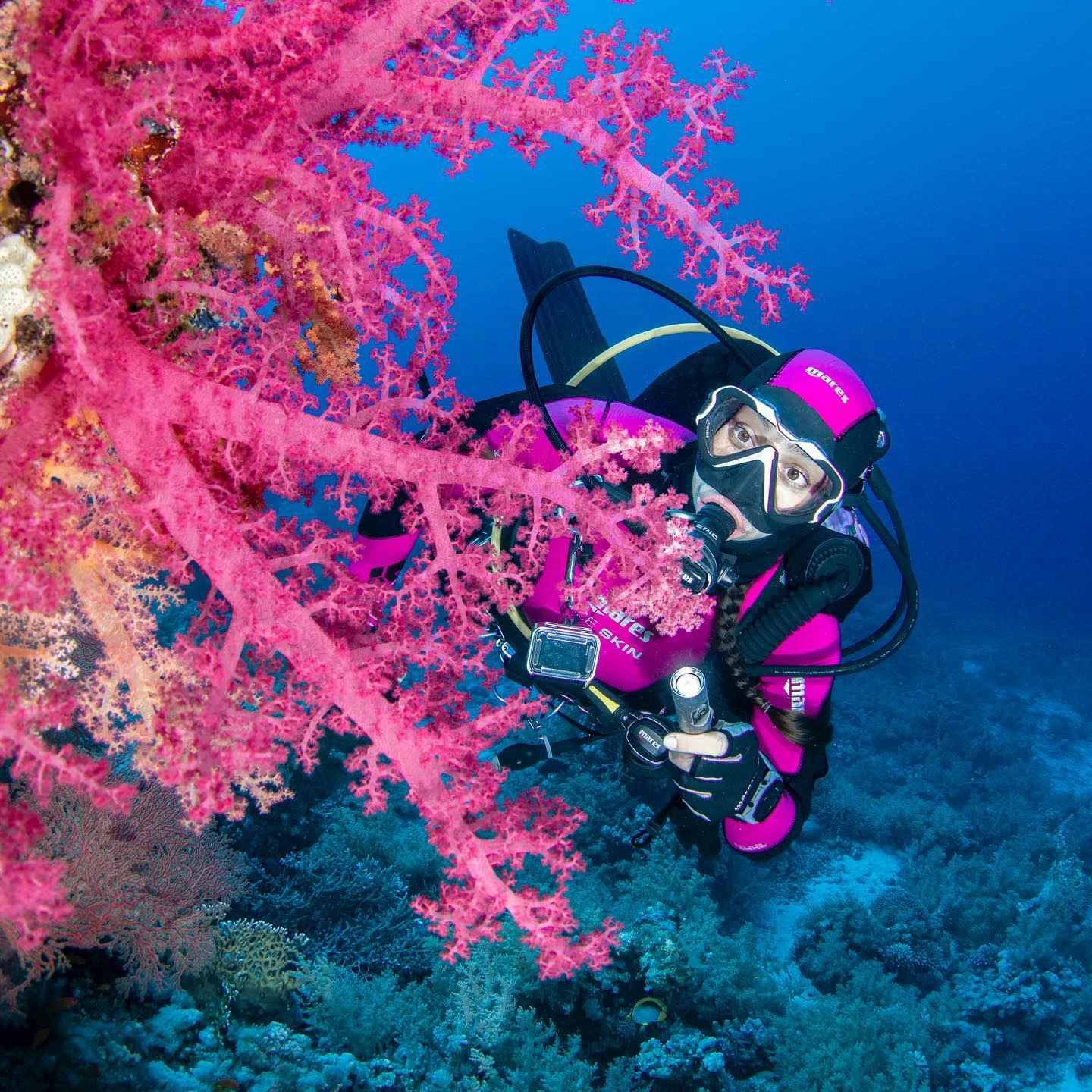 Cheap Mares Shop -Cheap Mares Shop 289743044 5576291139062225 863279691053965303 n