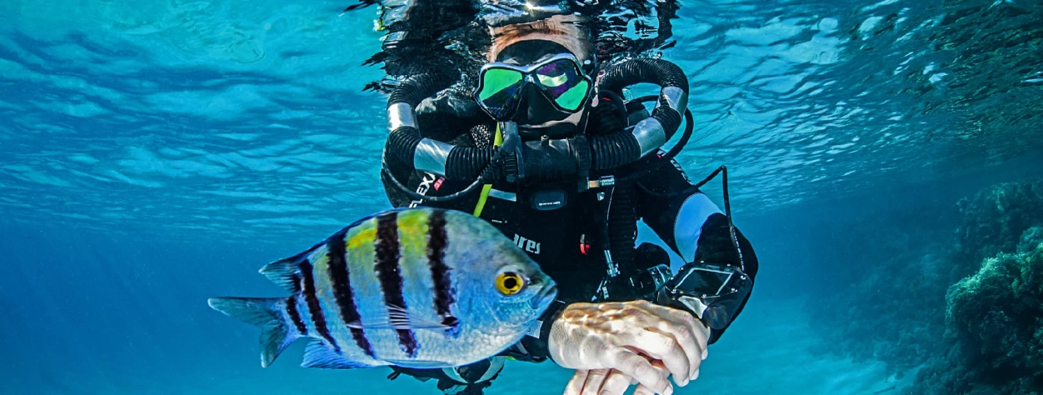 Cheap Mares Shop -Cheap Mares Shop 50976900 2277068205651218 2623313295083307008 n